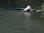 2009-10-san_marcos_canoe_trip-27